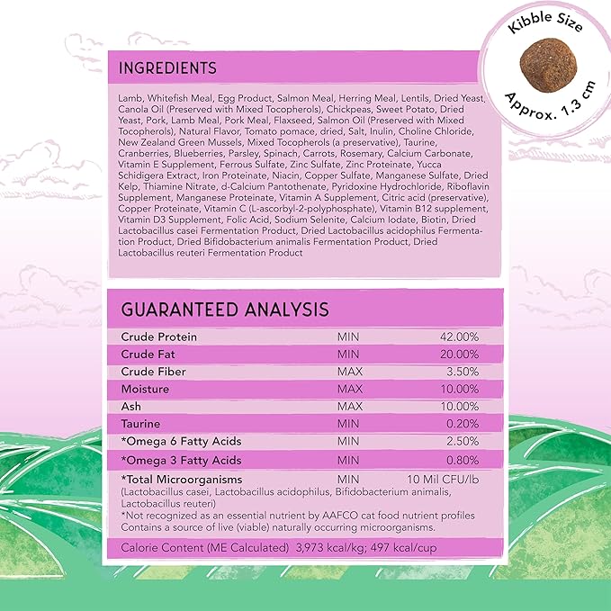 Blackwood Bounty Dry Cat Food, Red Meat Recipe for All Life Stages, 2 Pound Bag, High Protein, Grain Free