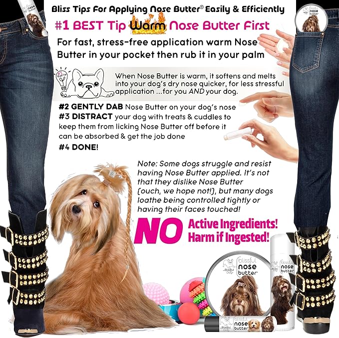 The Blissful Dog Havanese Unscented Nose Butter - Dog Nose Butter, 2 Ounce