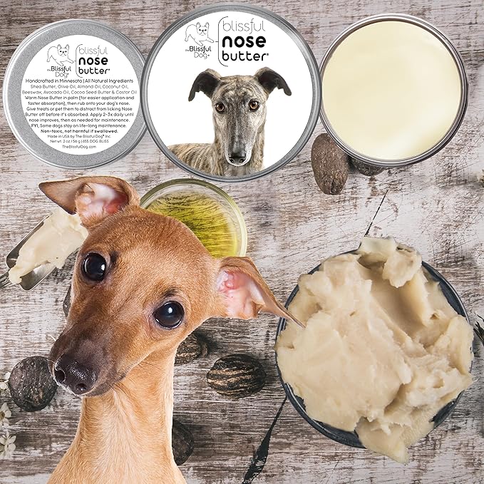 The Blissful Dog Greyhound Unscented Nose Butter - Dog Nose Butter, 16 Ounce