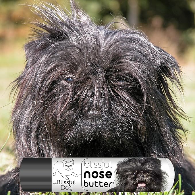 The Blissful Dog Affenpinscher Nose Butter for Dry, Cracked Skin, Lick-Safe Dog Nose Balm with Moisturizing Shea Butter, Almond, Olive, and Essential Oils, Pet Supplies, Uncented, 0.15 oz.