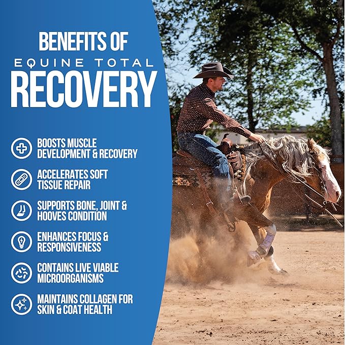 Pivotal Power+ Horse Supplement (174g/0.38lbs - 30 Servings) - 9 Equine Amino Acids Plus Probiotics for Horses - No Added Sugar, No Soy, No Fillers - Horse Joint Support Supplement, White