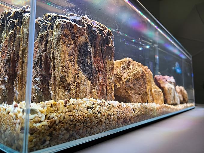 Lifegard Aquatics 6 Gallon Long Ultra Clear Low Iron Bookshelf Aquarium Kit - Heater, LED Light and Algae pad Included