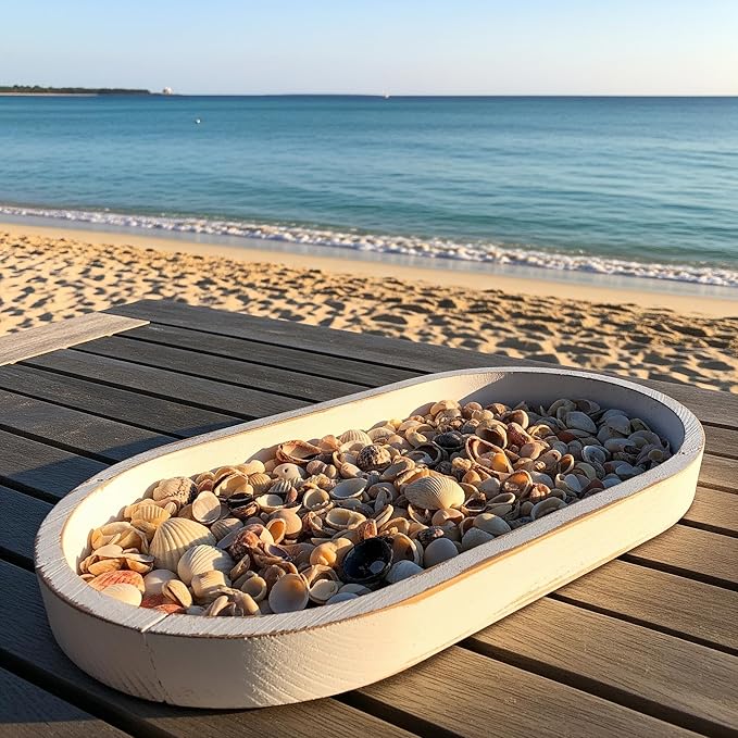 32 oz Jug of Natural Small Seashells with Pieces, ⅛-½ inch Size, for Indoor Outdoor Decor, vase Filler, Candles, Art, Crafts, Aquariums, Gardens, planters, tablescapes, terrariums