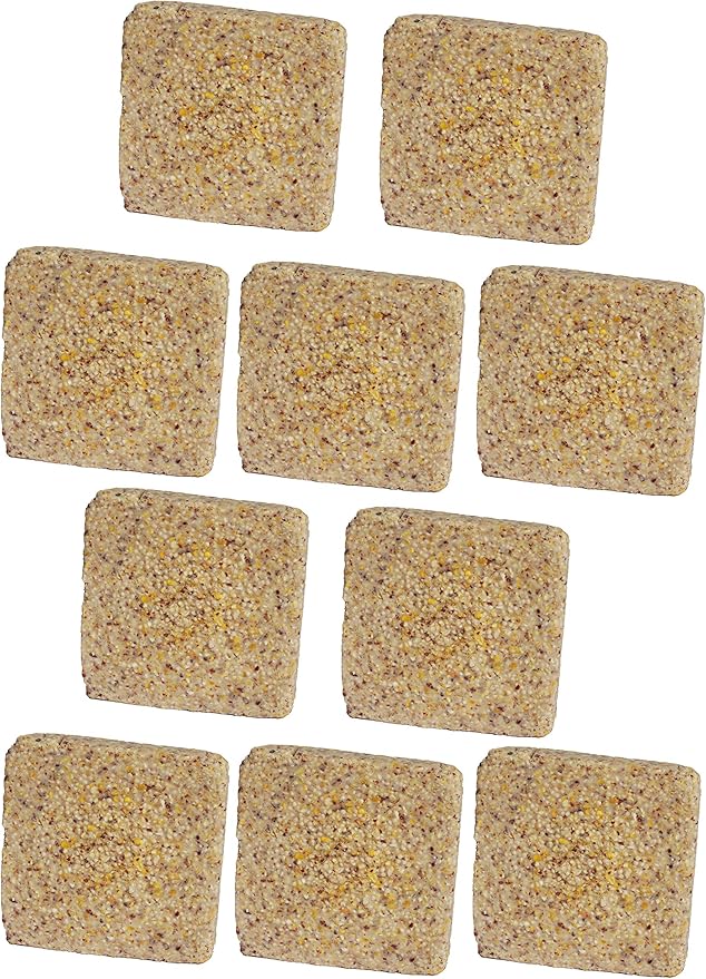 ST. ALBANS BAY SUET PLUS Suet Cake Variety Packs | 11 oz. Wild Bird Suet Cakes | (Peanut, 10 Pack)