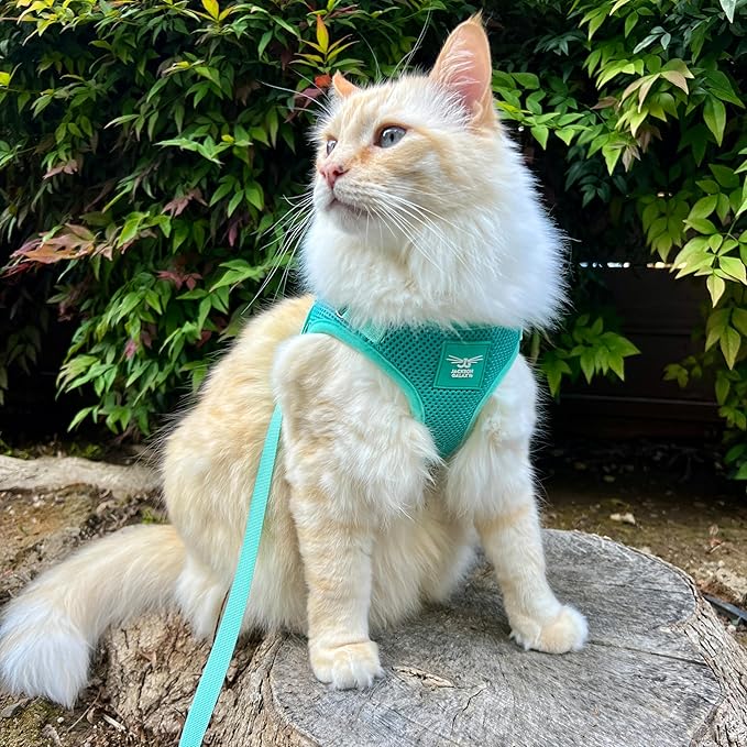 Travel Cat x Jackson Galaxy Harness and Leash Set - Adjustable Fit Mesh Cat Harness with Nylon Leash - Comfort, Escape Proof Harness for Cats, Kitten for Outdoor Walking, Hiking (Kittens Only)