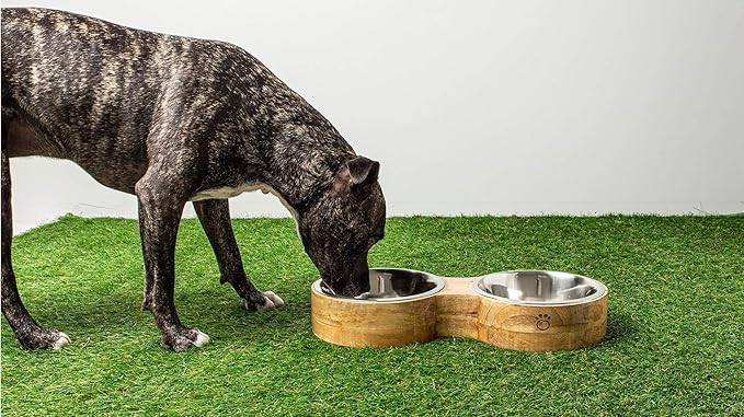 Luxury Elevated Dog Bowl Set - Mango Wood Stand with 2 Stainless Steel Food & Water Bowls - Raised Pet Feeder with Non-Slip Base, Modern Design for All Dog Sizes, Large 48oz