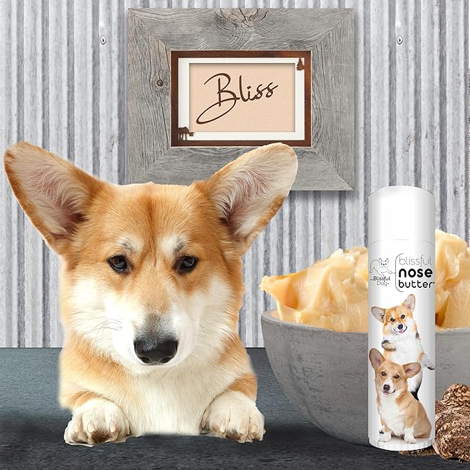 The Blissful Dog Corgi Unscented Nose Butter, 0.50-Ounce