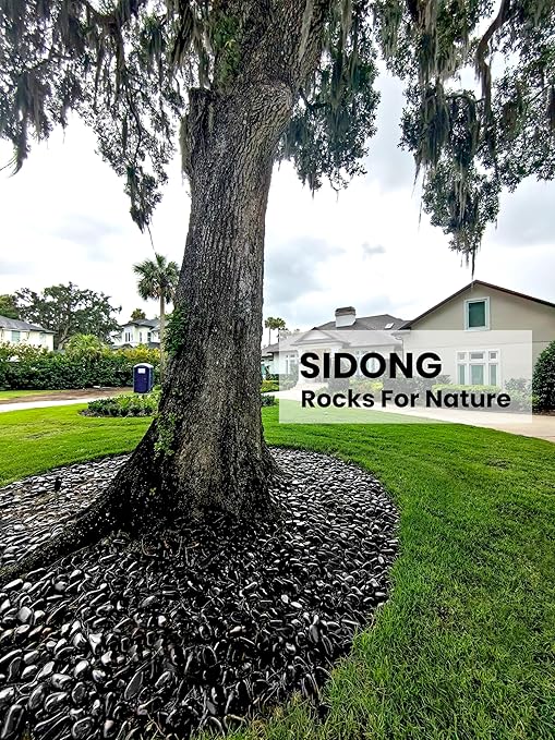 SIDONG 10 lbs Black River Rocks, 1.5-2.5 Inches Polished Pebbles for Indoor Plants, Aquarium Rocks Used in Fish Tank, Decorative Stones for Plants, Vases, Home Décor, Crafting, Garden Landscaping