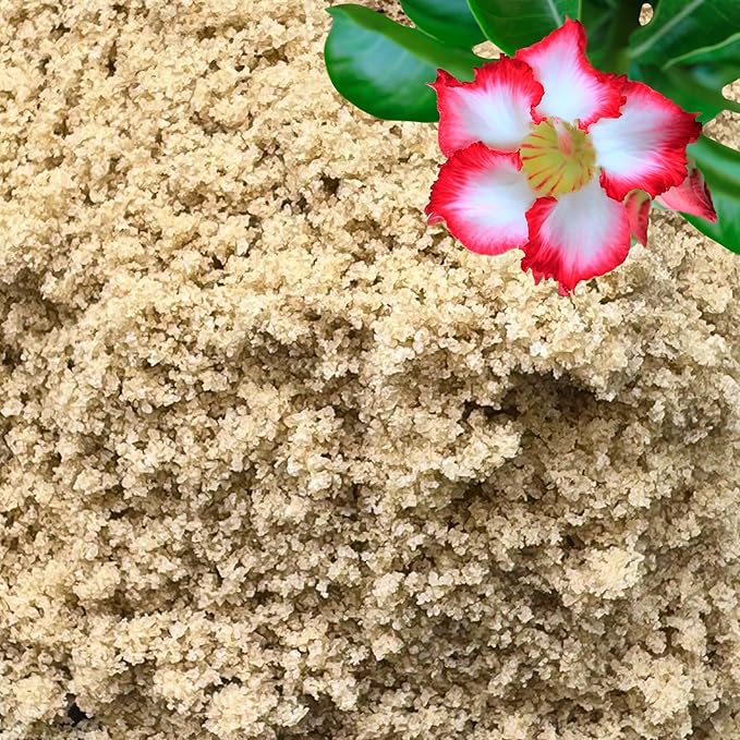 Fine Sand for Plants – Horticultural Sand for Succulents, Cactus, Potting Mixes, Terrariums & Decorative Indoor Gardens, Made in USA (3 quarts - 8.4 lbs)