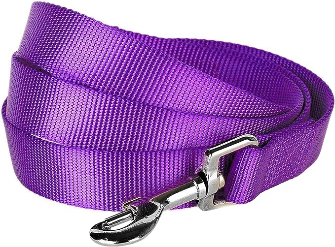 Blueberry Pet Essentials Dark Orchid Dog Leash for Small -5' * 5/8" Dogs | Heavy Duty Nylon Lead | Lightweight Puppy & Cat Leash for Walking & Training