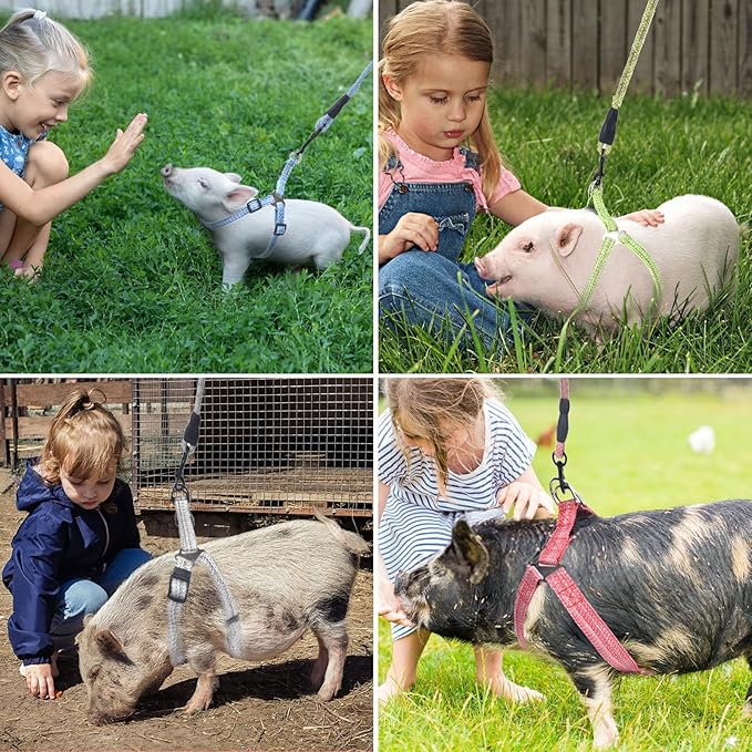 Mini Pig Harness, Adjustable Small Pig Harness with Leash Infinity Style Lead and Soft Foam Handle for Small to Medium Pet Pigs Walking Training Jogging (Blue, S)