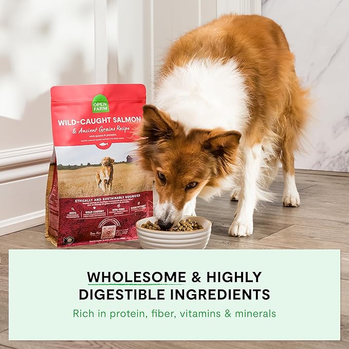 Open Farm, Ancient Grains Dry Dog Food, Protein-Rich & Nutrient Dense, 90% Animal Protein Mixed with Non-GMO Fruits, Veggies and Superfoods, Catch-of-The-Season Whitefish Recipe, 11lb Bag