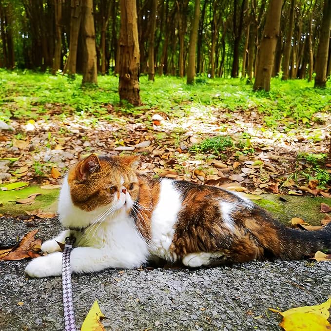 Cat Harness and Leash Set, Escape-Proof Adjustable Kitten/Cat Harness for Walking & Travel, Easy Control, Comfortable Outdoor Use, 4.1 ft, Brown