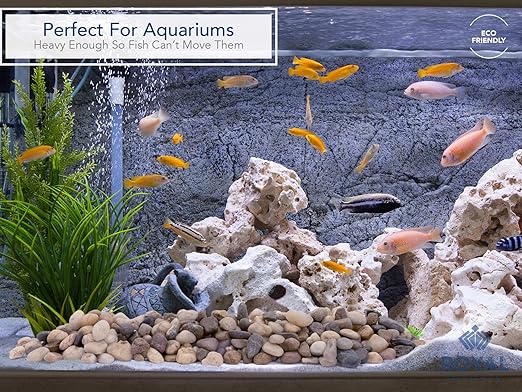 Royal Imports 5LBS River Rocks Decorative Ornamental Pebbles, Garden Landscaping Stones, Gravel Filler for Plants, Vases, Succulents, Home Decor, Aquariums, Crafting, Animal Habitat - Large Natural