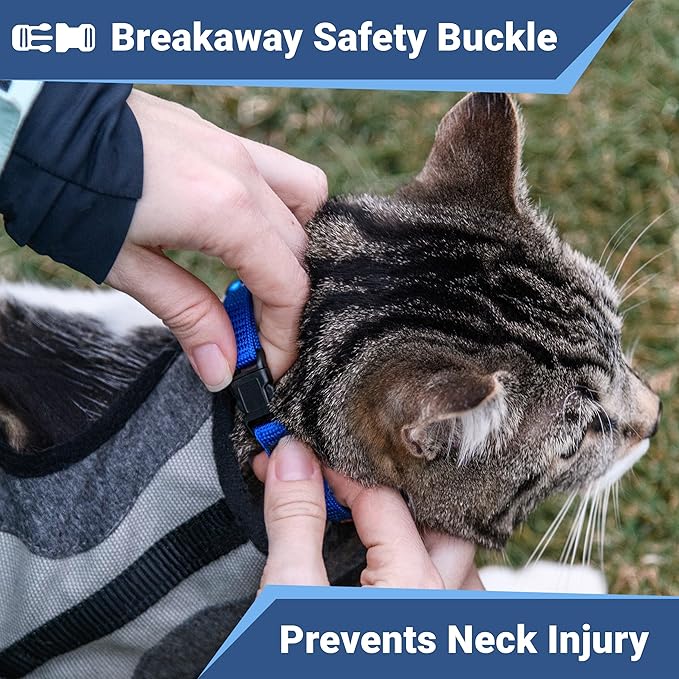 GoTags Cat Collars with Personalized Tag, Breakaway Collar with Safety Buckle Matching Bell, Engraved Custom with Name and Phone, Adjustable for Cats and Kitten, (Blue with Nameplate)