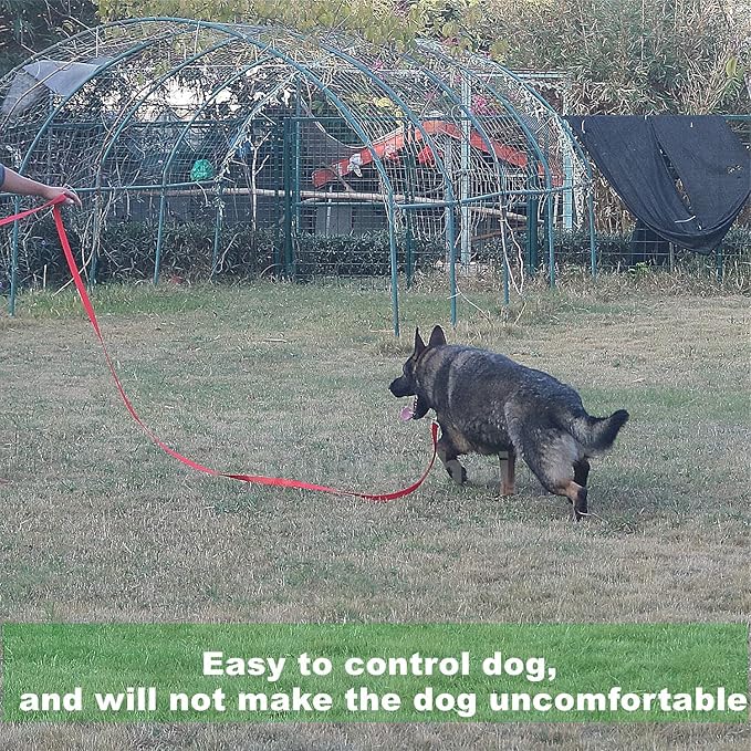 Strong Durable 10ft Nylon Dog Training Leash, 1 Inch Wide Traction Rope, for Small and Medium Dog (Military Green, 10 Feet)