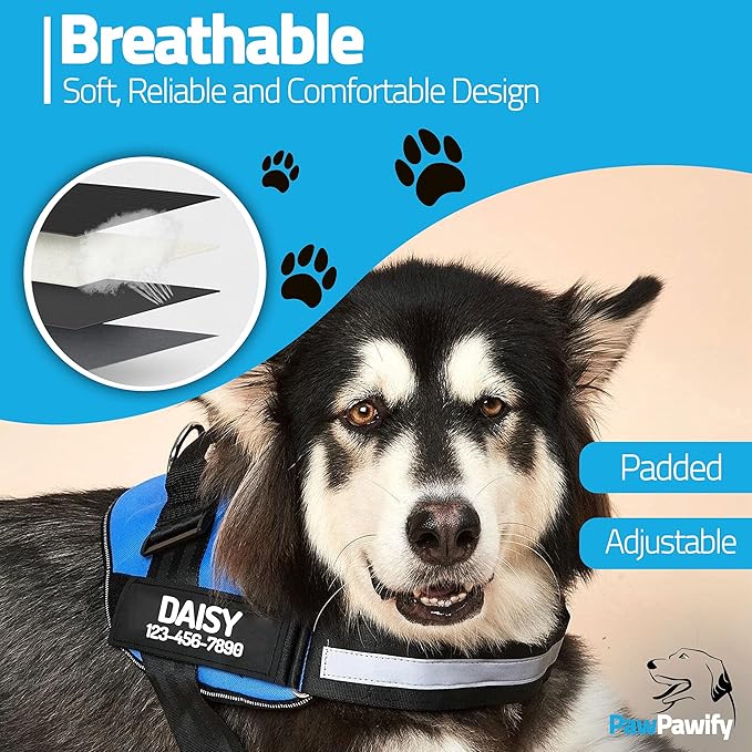 PawPawify Custom No Pull Dog Harness with Name and Phone Number, Heavy Duty Personalized Pet Vest to Prevent Tugging, Pulling, or Choking, Training and Walking (Blue, XS (Chest 14-17in))