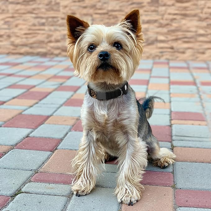 AirTag Dog Collar for Small Medium Large Breed - Adjustable Cute Pattern Dog Collar with Airtag Holder - Soft Leather Tracker GPS Apple Air Tag Pet Collars (X-Small, 9"-12" Neck Fit, Leopard)