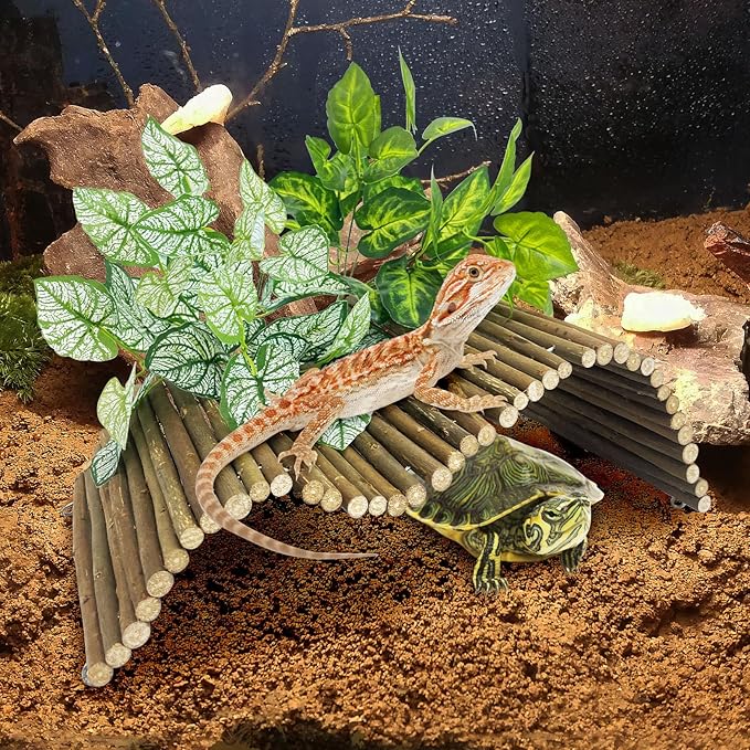 BNOSDM Large Reptile Hide Tortoise Hideout Bearded Dragon Wooden Bridge Snake Climbing Tunnel Habitat Decor for Lizards Spiders Gecko Ball Python