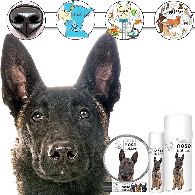 The Blissful Dog Belgian Malinois Nose Butter for Dry, Cracked Skin, Lick-Safe Dog Nose Balm with Moisturizing Shea Butter, Almond, Olive, and Essential Oils, Pet Supplies, Uncented, 0.15 oz.