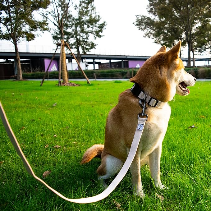 Beige Dog Collar for Small Dogs, Breathable, Anti-Odor & Soft, Comfortable for Sensitive Skin Puppies, 90% Bamboo Rayon, Adjustable Quick-Release Buckle Pet Collar for Chihuahuas Frenchie