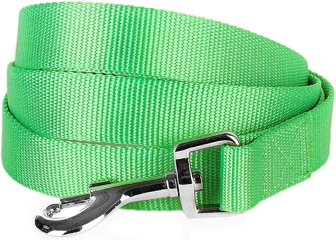 Blueberry Pet Essentials Neon Green Dog Leash for Large - 4' * 1" Dogs | Heavy Duty Nylon Lead | Lightweight Puppy & Cat Leash for Walking & Training