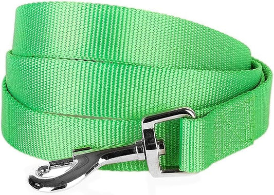 Blueberry Pet Essentials Neon Green Dog Leash for Medium - 5' * 3/4" Dogs | Heavy Duty Nylon Lead | Lightweight Puppy & Cat Leash for Walking & Training