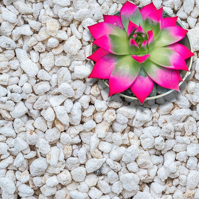 Perlite for Plants, Extra Coarse Grade 4 Horticultural Perlite, Organic Perlite for Gardening Indoor & Outdoor, Made in USA (3 quarts)