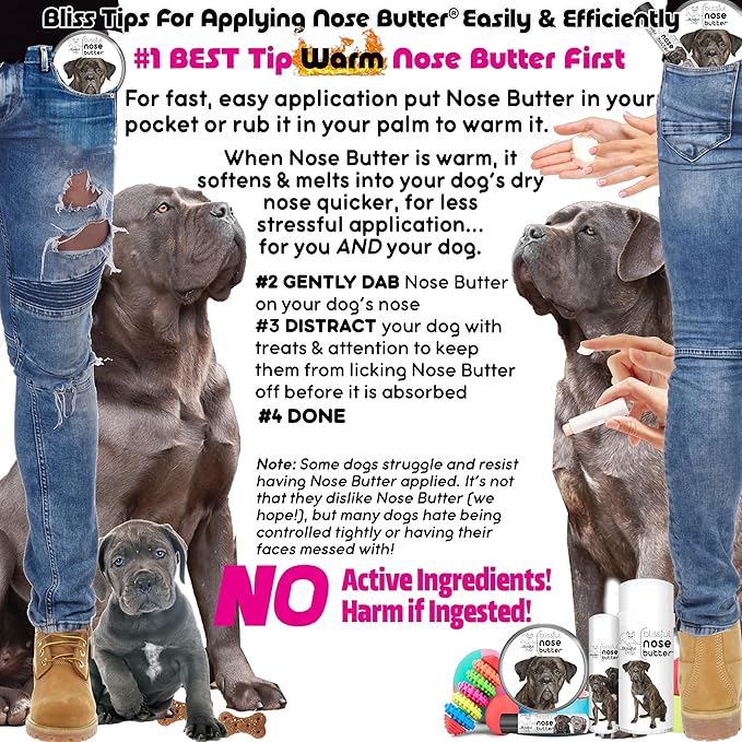 The Blissful Dog Cane Corso Nose Butter for Dry, Cracked Skin, Lick-Safe Dog Nose Balm with Moisturizing Shea Butter, Almond, Olive, and Essential Oils, Pet Supplies, Uncented, 0.15 oz.