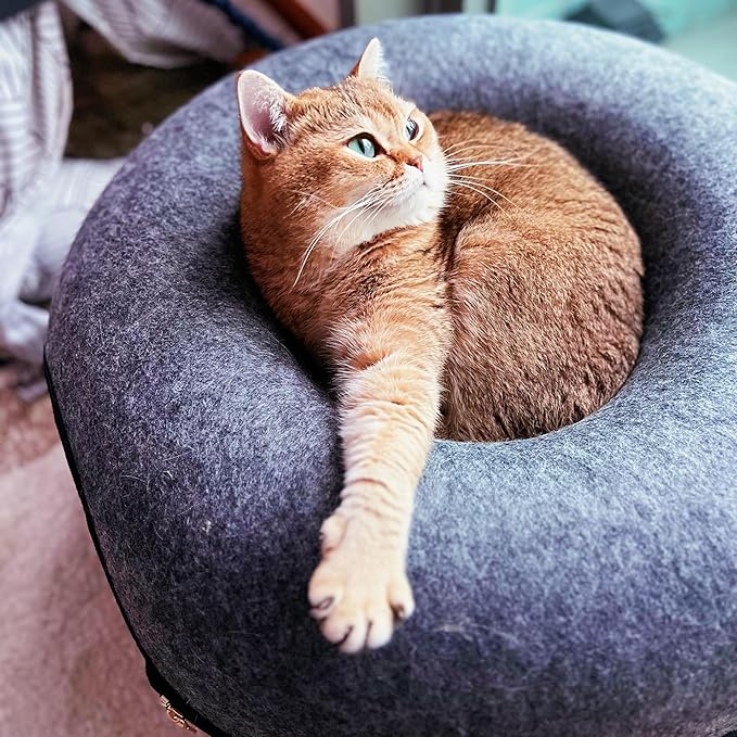 Travel Cat Tunnel Bed Cave - 21 Inch Large Premium Grey Round Donut Cat Cave for Indoor Cats, Kitten - Detachable Cat Hideaway Cat Bed with Tunnel for Playing, Scratching, Sleeping
