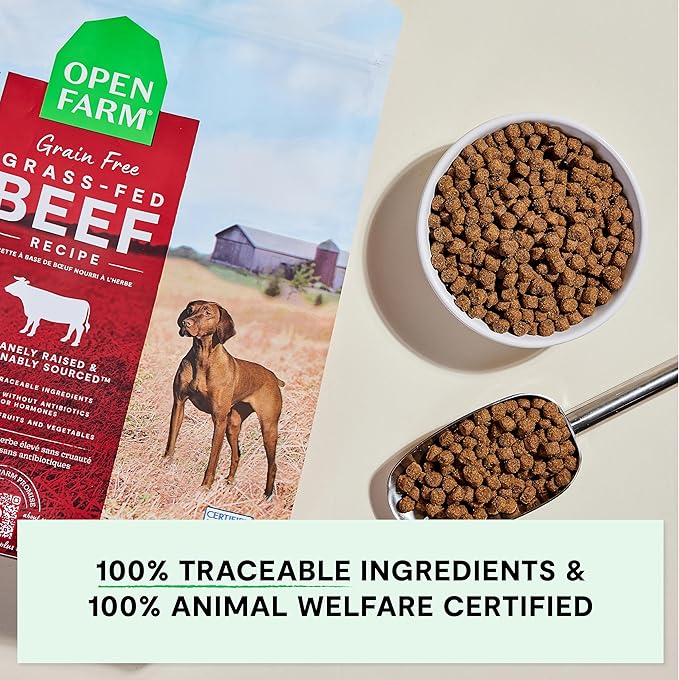Open Farm, Grain-Free Dry Dog Food, Complete & Balanced Kibble, Sustainably & Ethically Sourced Ingredients, Non-GMO Veggies & Superfoods to Support Overall Health, Grass-Fed Beef Recipe, 4lb Bag
