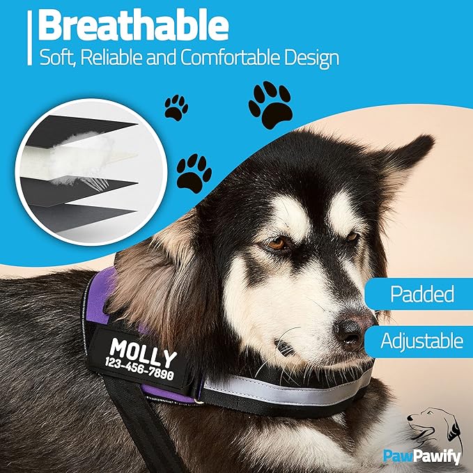 PawPawify Custom No Pull Dog Harness with Name and Phone Number, Heavy Duty Personalized Pet Vest to Prevent Tugging, Pulling, or Choking, Training and Walking (Purple, S (Chest 16-21in))