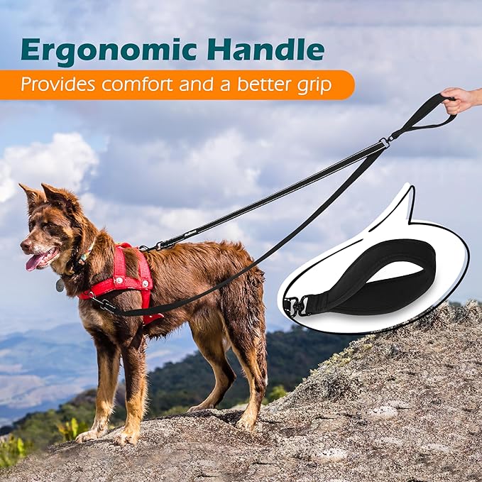 PetBonus Two Point Control Dog Leash, Works with No Pull Harnesses, No Tangle Training Leashes, Soft Padded and Reflective Walking Lead, Converts to Single Lead for Medium Large Dogs (Black)