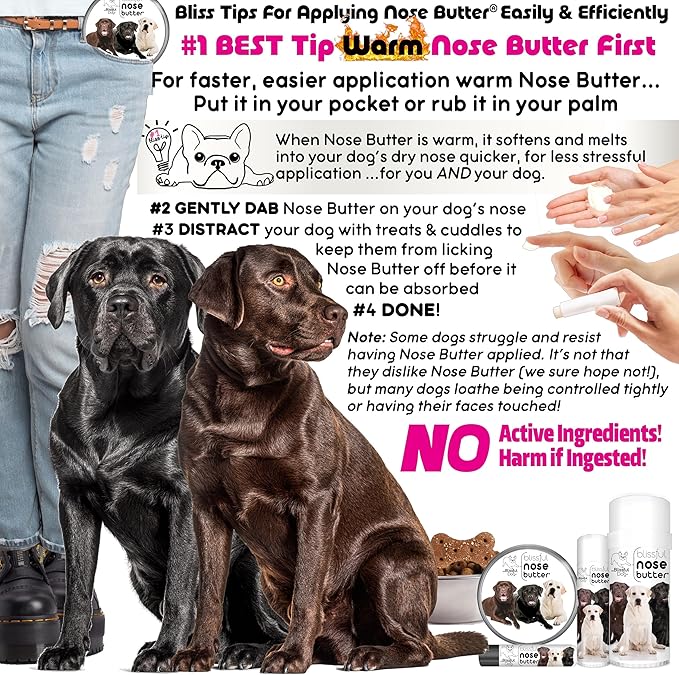 The Blissful Dog Labrador Retriever Unscented Nose Butter - Dog Nose Butter, 16 Ounce