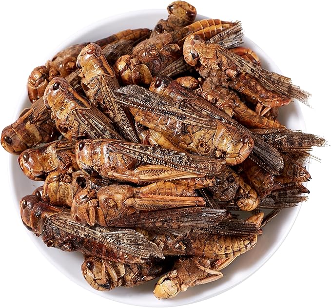 Freeze Dried Grasshoppers - High Protein Reptile & Bird Food, 1lb Resealable Bag for Bearded Dragons, Lizards, Hedgehogs | Natural, No Additives