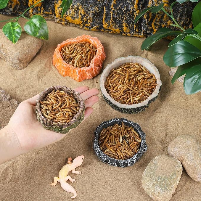 IBWell 2pcs Reptile Water Bowl with Feeding Tweezers - Feeding Dish for Lizard, Snake, Tortoise & Small Animals - Grey Rock