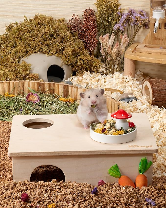 Niteangel Hamster Snack & Treats Toy: - Small Animal Natural Treat Mix for Dwarf Syrian Robo Hamsters Gerbils Mice Lemmings Degus or Other Small-Sized Pets (Vegetable Combo)