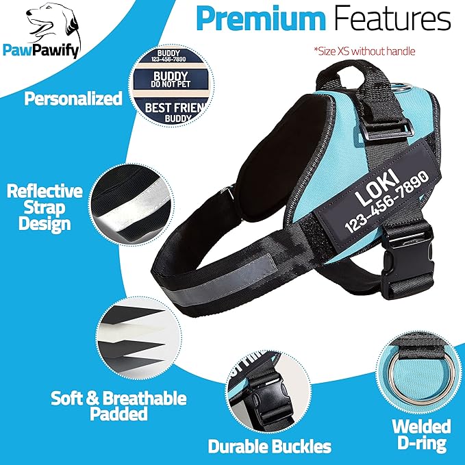PawPawify Custom No Pull Dog Harness with Name and Phone Number, Heavy Duty Personalized Pet Vest to Prevent Tugging, Pulling, or Choking, Training and Walking (Sky Blue, L (Chest 23-30in))