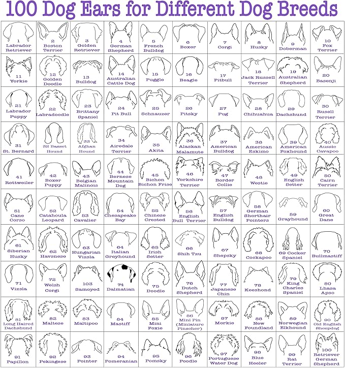 Custom Dog Mom Shirt for Women Pet Ears Sweatshirt with Name Unique Puppy Line Art Cute Dad Hoodie for DogDad Owner Lover