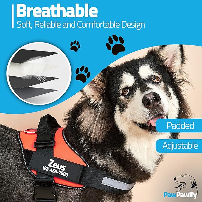 PawPawify Custom No Pull Dog Harness with Name and Phone Number, Heavy Duty Personalized Pet Vest to Prevent Tugging, Pulling, or Choking, Training and Walking (Orange, XL (Chest 28-35in))