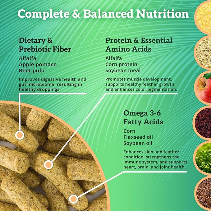 Scenic Corn Jungle Premium Parrot Food - Natural Flavors, High Protein, Low Iron Bird Pellets for Large Parrots, Macaw Food, Cockatoo & African Grey Parrots, Omega 3, Vitamins, Minerals, 2 LB