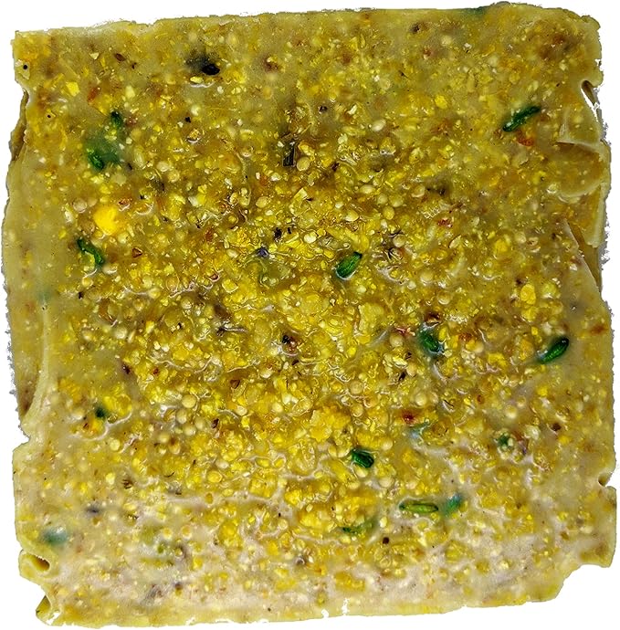 ST. ALBANS BAY SUET PLUS Suet Cake Variety Packs | 11 oz. Wild Bird Suet Cakes | (Apple, 10 Pack)