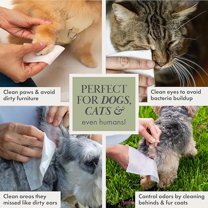 Nina Woof Dog Wipes – Fragrance-Free, Alcohol-Free, Hypoallergenic Pet Grooming Wipes with Aloe Vera, Biodegradable, for Dogs & Cats: Paws, Face, Ears & Butt – 2-Pack (140 Count)