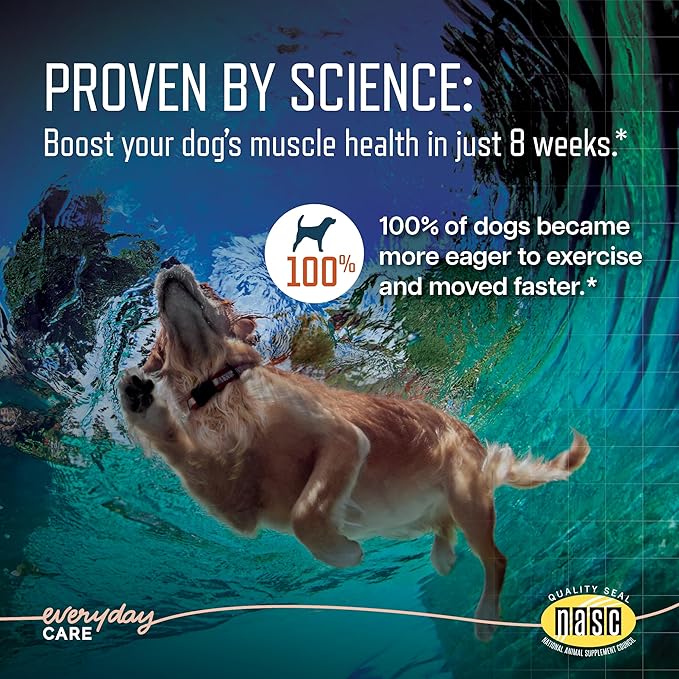 URSOLYX Soft Chews for Dogs | Muscle Health Support for Senior, Active or Recovering Dogs, Medium | 120 Count 4-Month Supply