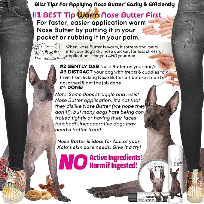 The Blissful Dog Xoloitzcuintli Nose Butter for Dry, Cracked Skin, Lick-Safe Dog Nose Balm with Moisturizing Shea Butter, Almond, Olive, and Essential Oils, Pet Supplies, Uncented, 4 oz.