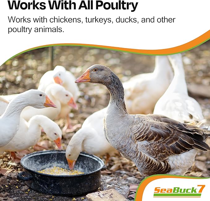 Chicken & Bird Supplement with Sea Buckthorn to Improve Egg Quality & Increase Egg Production (1-Month Supply for 20 Chickens)