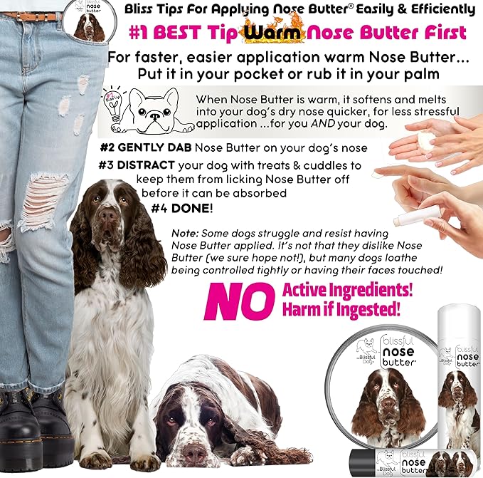 The Blissful Dog Springer Spaniel Unscented Nose Butter - Dog Nose Butter, 4 Ounce