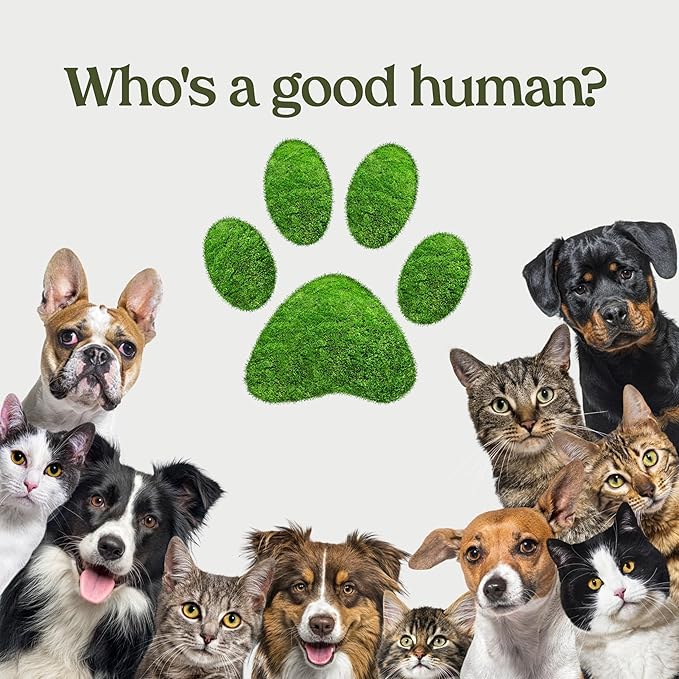 PAWFUME Skin & Coat Detangler Spray for Dogs, 2-Pack – Soothe Dry, Itchy Coats Quickly – Non-Toxic Chamomile & Oat Formula, Essential Fatty Acids & Vet-Certified – Dog Detangler Spray Dematting Care