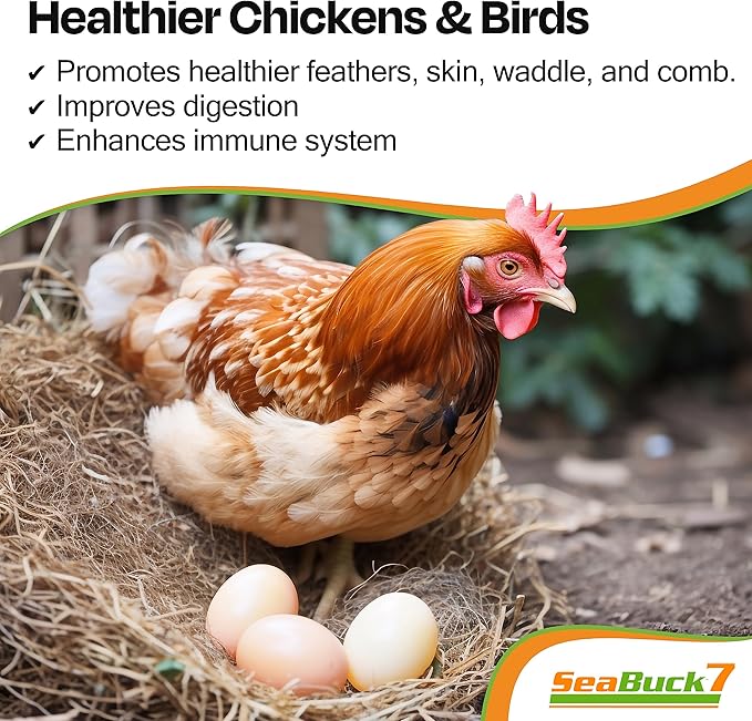 Chicken & Bird Supplement with Sea Buckthorn to Improve Egg Quality & Increase Egg Production (1-Month Supply for 20 Chickens)