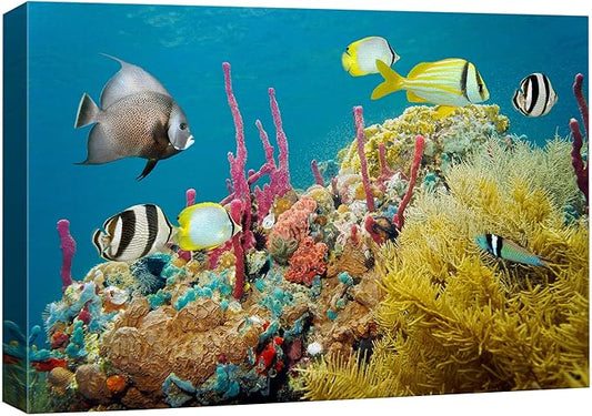 wall26 Canvas Print Wall Art Deep Sea Marine Fish with Coral Reef Nature Ocean Photography Realism Nautical Scenic Relax/Calm Multicolor Ultra for Living Room, Bedroom, Office - 12"x18"